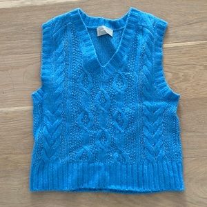 Blue Everlane Wool Vest